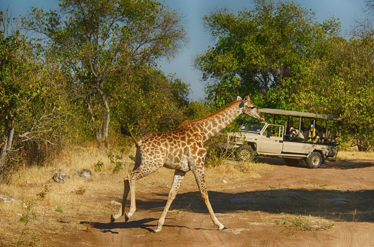 Tlouwana Camp Villa Kasane Exterior foto